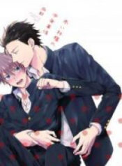 Akai Ringo no Nakami Jijou
