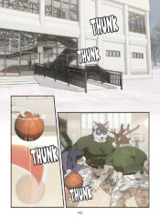 [Raccoon21] December, Twilight, Snowflake EP13 (English)
