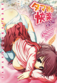 (C68) [STUDIO HUAN (Raidon)] Tama-nee no Kairaku Kouhen (ToHeart 2)