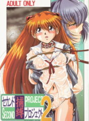 [Thirty Saver Street 2D Shooting (Maki Hideto, Sawara Kazumitsu)] Second Hobaku Project 2 (Neon Genesis Evangelion)