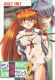 [Thirty Saver Street 2D Shooting (Maki Hideto, Sawara Kazumitsu)] Second Hobaku Project 2 (Neon Genesis Evangelion)