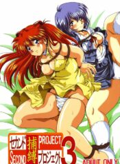 [Thirty Saver Street 2D Shooting (Maki Hideto, Sawara Kazumitsu)] Second Hobaku Project 3 (Neon Genesis Evangelion)