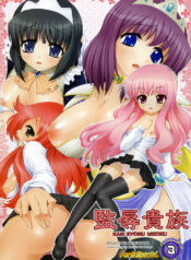 (C71) [Studio ParM (Kotobuki Utage)] Kan Zyoku Kizoku (Zero no Tsukaima)