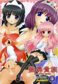 (C71) [Studio ParM (Kotobuki Utage)] Kan Zyoku Kizoku (Zero no Tsukaima)