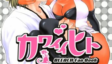 [Todd Special (Todd Oyamada)] Kawaii Hito (Bleach)