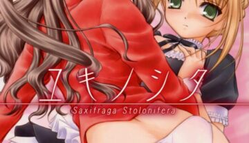 (C71) [Yakan Hikou (Inoue Tommy)] Yuki no Shita (Fate/hollow ataraxia)