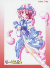 (SC26) [Schwester (Shirau Inasaki)] Rollin 14 (Touhou Project)