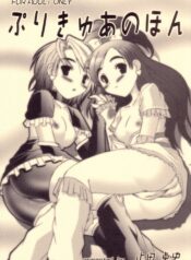 (C66) [ashitakara-ganbaru (Yameta Takashi)] Precure no Hon (Futari wa Precure)