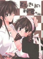 (C64) [Sakurakan (Seriou Sakura)] Tobikiri no Himitsu (Inuyasha)