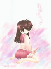 (CR33) [Sakurakan (Seriou Sakura)] Hoshikuzu Drop (Inuyasha)