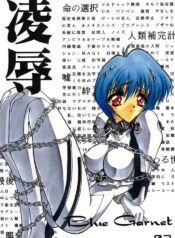 (CR21) [Blue Garnet (Serizawa Katsumi)] Blue Garnet Vol. 02 Ryoujoku (Neon Genesis Evangelion)