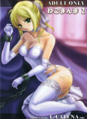 (C66) [L-CALENA (Kisaragi)] [L-CALENA] Nekomanma 2 (Fate/stay night)