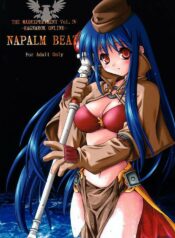 (CR31) [SION (Hotori)] NAPALM BEAT (Ragnarok Online)