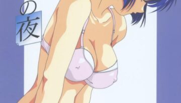 (C63) [Atelier Yang (Yang)] Hajimete no Yoru (Ai Yori Aoshi)