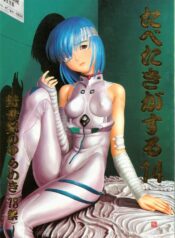 (CR18) [Paradise City (Various)] Tabeta Kigasuru 14 (Neon Genesis Evangelion)