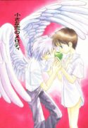 (C54) [Nikkou Kikaku (Gotou Noriko)] Chiisana Koi no Melody (Neon Genesis Evangelion)