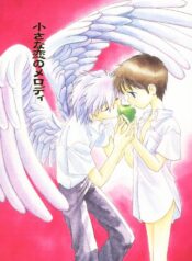 (C54) [Nikkou Kikaku (Gotou Noriko)] Chiisana Koi no Melody (Neon Genesis Evangelion)