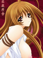 [Akiyama Kougyou (Reiran)] Ayoru Joshou (Tenjou Tenge)