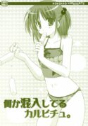 (C72) [Kokikko (Sesena Yau)] Nanika Konnyuu Shiteru Karupichu. (Hayate no Gotoku!)