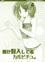 (C72) [Kokikko (Sesena Yau)] Nanika Konnyuu Shiteru Karupichu. (Hayate no Gotoku!)