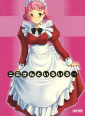(SC29) [P.Forest (Hozumi Takashi)] Fumi-san to Iroiro… (Mai-HiME)