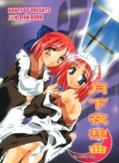 [HONEY QP (Inochi Wazuka)] Gekka Yasoukyoku (Tsukihime)