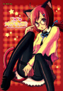 (C72) [Kimarinet (kimarin)] DOKIDOKI MEGANEKKO!!