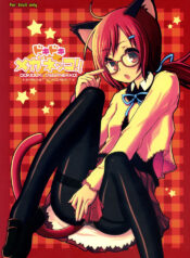 (C72) [Kimarinet (kimarin)] DOKIDOKI MEGANEKKO!!