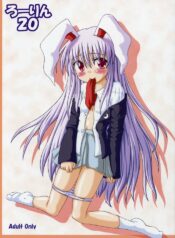 [Schwester (Shirau Inazaki)] Rollin 20 (Touhou Project)
