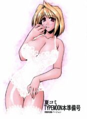 [Shichiyou Souryuujin (Soushin Souma)] Natsucomi TYPEMOON Hon Junbigou (Tsukihime)