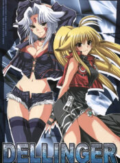 (C68) [FANTASY WIND (Shinano Yura)] DELLINGER (Various)