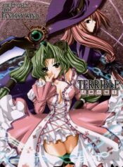 (CR34) [FANTASY WIND (Shinano Yura)] TERRIBLE (Shikigami no Shiro)
