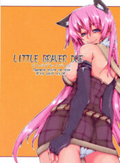 [Blazing Star (Terry Hijiri)] LITTLE BRAVER DUE (Ragnarok Online)