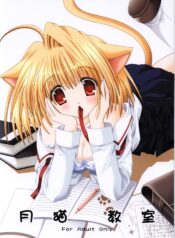 (C63) [Neko Kinryouku (NekoNeko)] Tsukineko Kyoushitsu (Tsukihime)