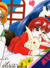 (C47) [Studio BIG-X (Arino Hiroshi)] MOUSOU THEATER 3 (Mahou Kishi Rayearth, Macross 7, Akazukin Cha Cha)