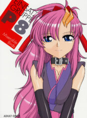 (C70) [EINSATZ GRUPPE (Charlie Nishinaka)] PRISONER 8 Miserable Birds (Gundam SEED DESTINY)