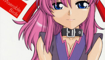 (C70) [EINSATZ GRUPPE (Charlie Nishinaka)] PRISONER 8 Miserable Birds (Gundam SEED DESTINY)