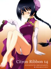 (CosCafe19) [Kyougetsutei (Miki Miyashita)] Citron Ribbon 14 (Gundam 00)