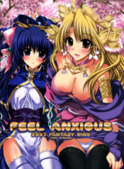 (SC35) [FANTASY WIND (Shinano Yura)] FEEL ANXIOUS (Sangokushi Taisen)