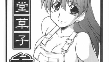 (C67) [UA Daisakusen, Lapislazuli=corporation (Harada Shoutarou)] Ruridou Soushi San (Dead or Alive, Final Fantasy XI)