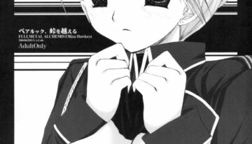 (SC24) [D.N.A.Lab. (Miyasu Risa)] Pair Look, Touge o Koeru (Fullmetal Alchemist)