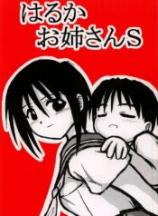 [Daitoutaku (Nabeshima Mike)] Haruka Oneesan S (Love Hina)