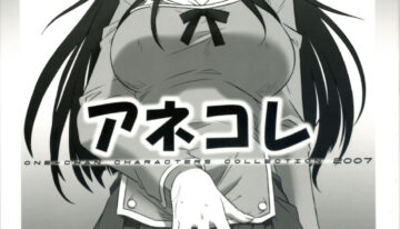 (C72) [CAZA MAYOR (Tsutsumi Akari)] AneColle – One-chan Characters Collection 2007 (Various)