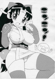 (C67) [Mirin (Shinozaki Rei)] Ninnin! (2×2 = Shinobuden)