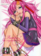 (C69) [EINSATZ GRUPPE (Charlie Nishinaka)] PRISONER 7 The Original Bird (Mobile Suit Gundam SEED Destiny)