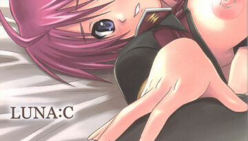 (C67) [Type-G (Ishigaki Takashi)] LUNA:C (Gundam SEED Destiny)