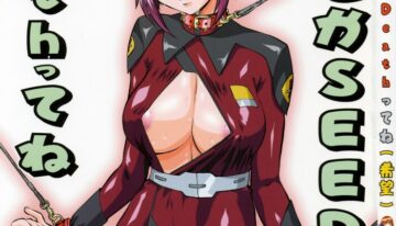 (C68) [Tsurikichi Doumei (Various)] Nantoka SEED – Death Tte Ne (Kibou) (Gundam Seed Destiny)