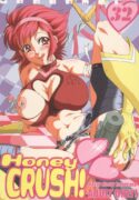 (ABC4) [Urakata Honpo (Sink)] Urabambi Vol. 32 – Honey Crush (Cutey Honey)