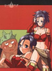 (C68) [Hime Mania (Aminosuke)] Venus no Namida (Dragon Quest VIII)