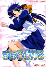 (C63) [G-SCAN CORP (Satou Chagashi)] Mahological (Mahoromatic)